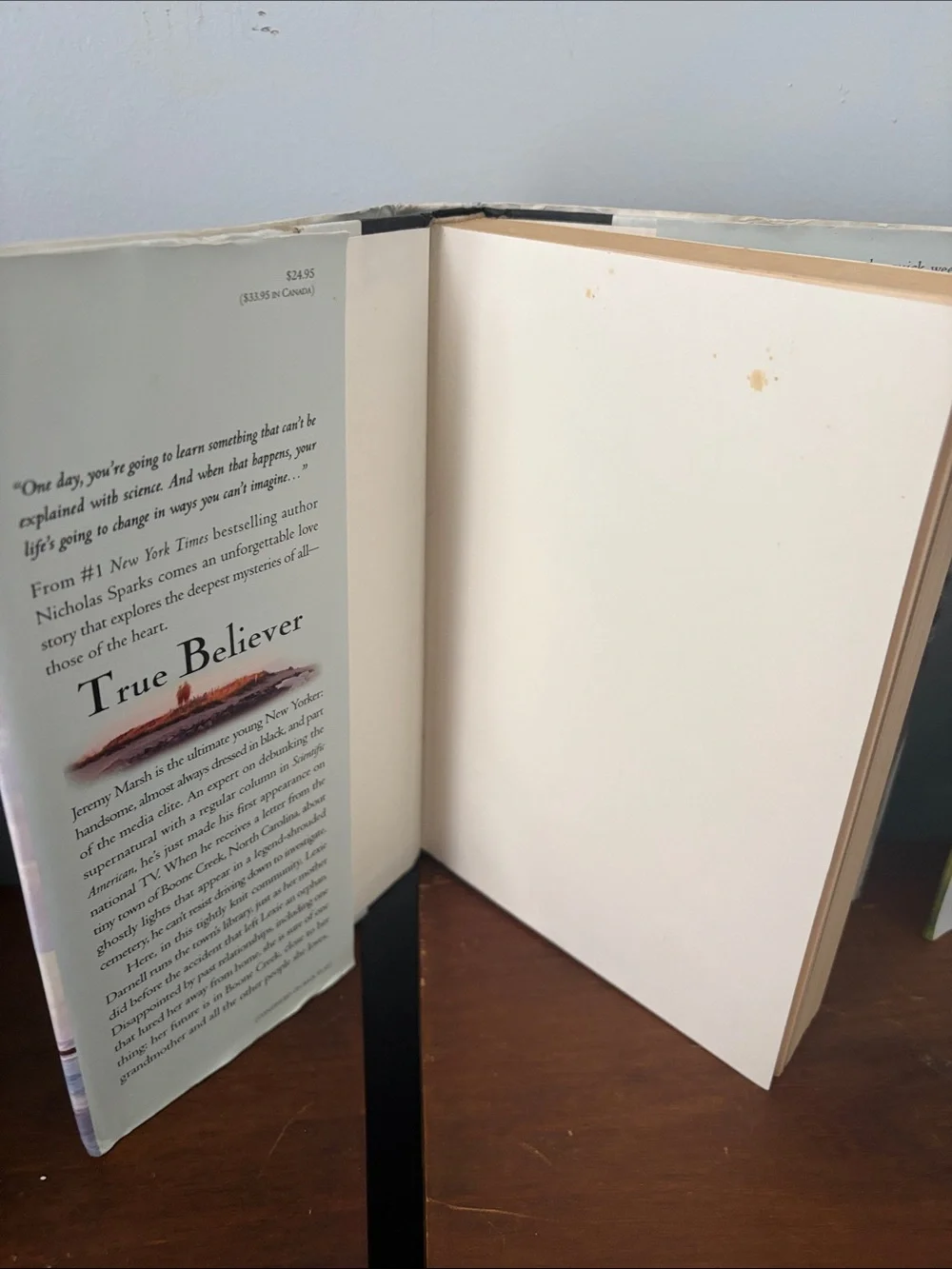 Nicholas Sparks Hardcover Set - True Believer & Dear John - Blue, Cream